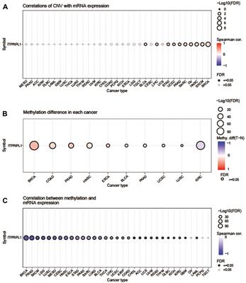 A comprehensive pan-cancer analysis revealing the role of ITPRIPL1 as a prognostic and immunological biomarker